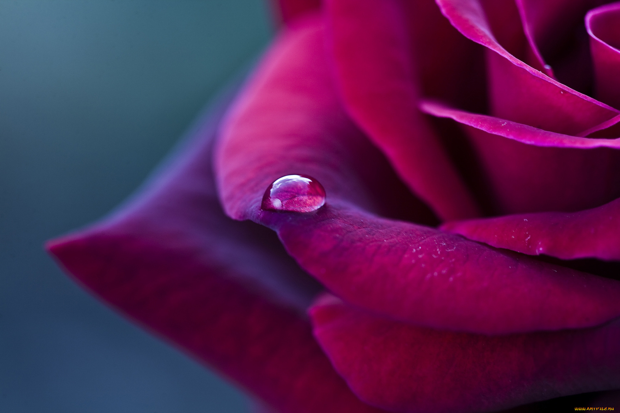 �����, ����, ��������